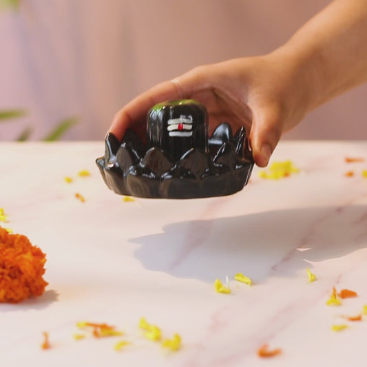 Shivling Fountain 🕉️